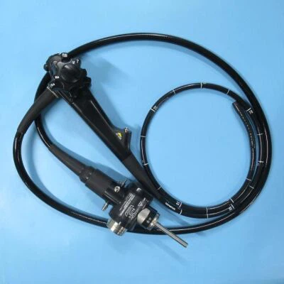 Sterilisation of flexible endoscopes Sterilisation of flexible endoscopes