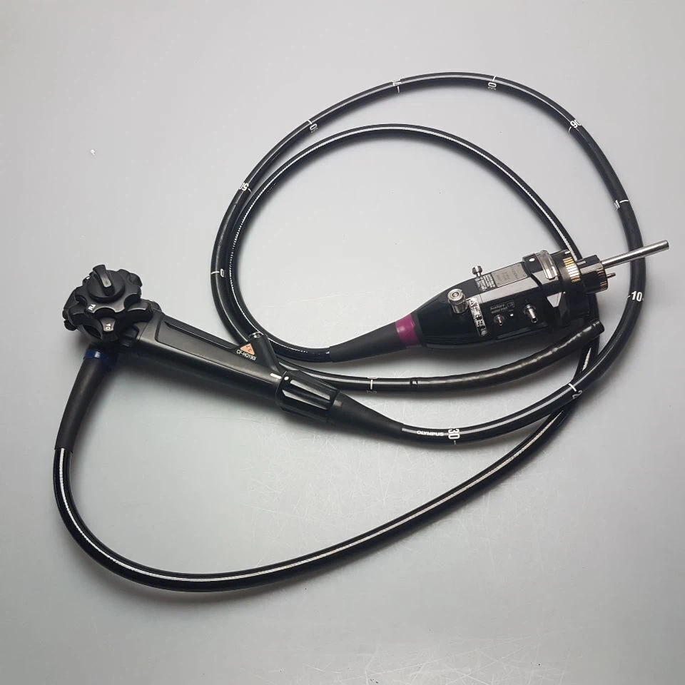 Sterilisation of flexible endoscopes Sterilisation of flexible endoscopes